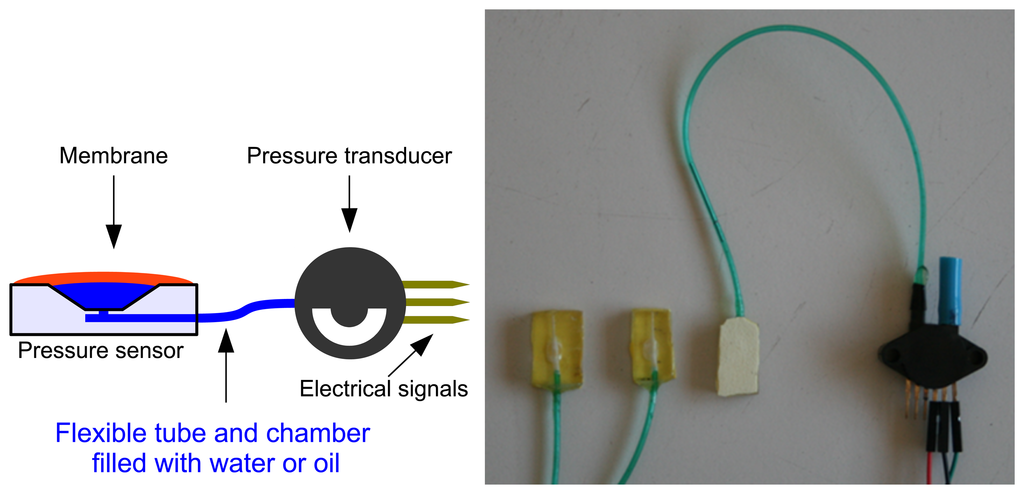 Sensors 13 06109f3 1024