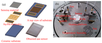 Sensors 13 06171f1 200