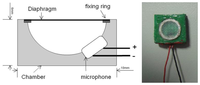 Sensors 13 07399f1 200