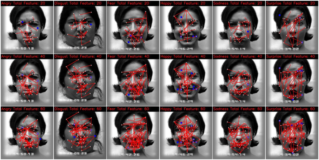 Face Recognition By Elastic Bunch Graph Matching Pdf