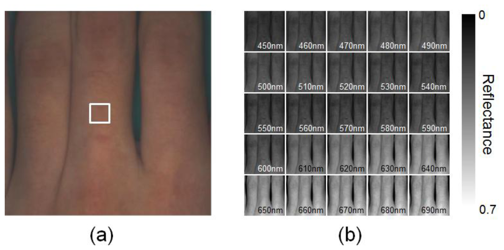 Sensors 13 07902f5 1024
