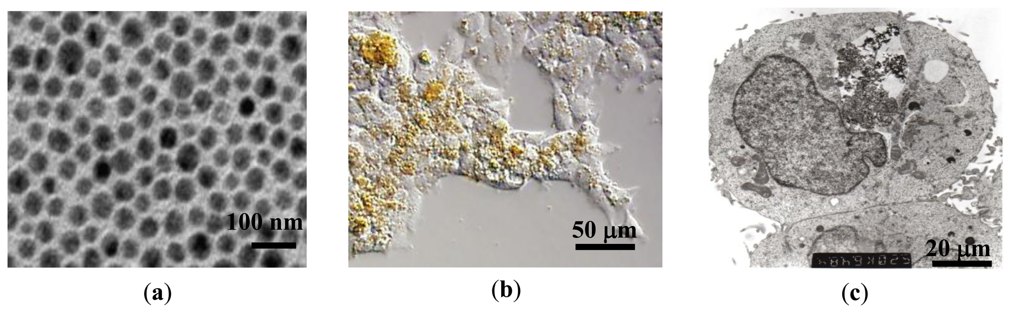 Sensors 13 08490f1 1024