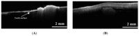 Sensors 13 08928f12 200