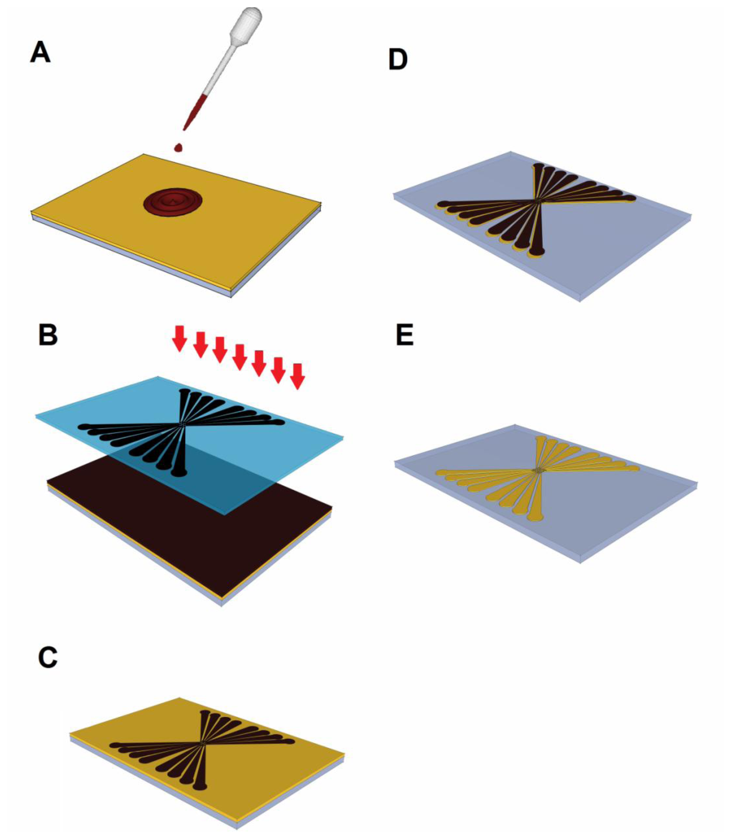 view Representations