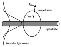 Sensors 13 10449f11 200
