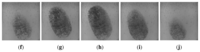 Sensors 13 11660f5b 200