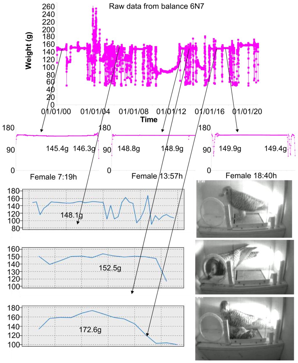 Sensors 13 12044f17 1024