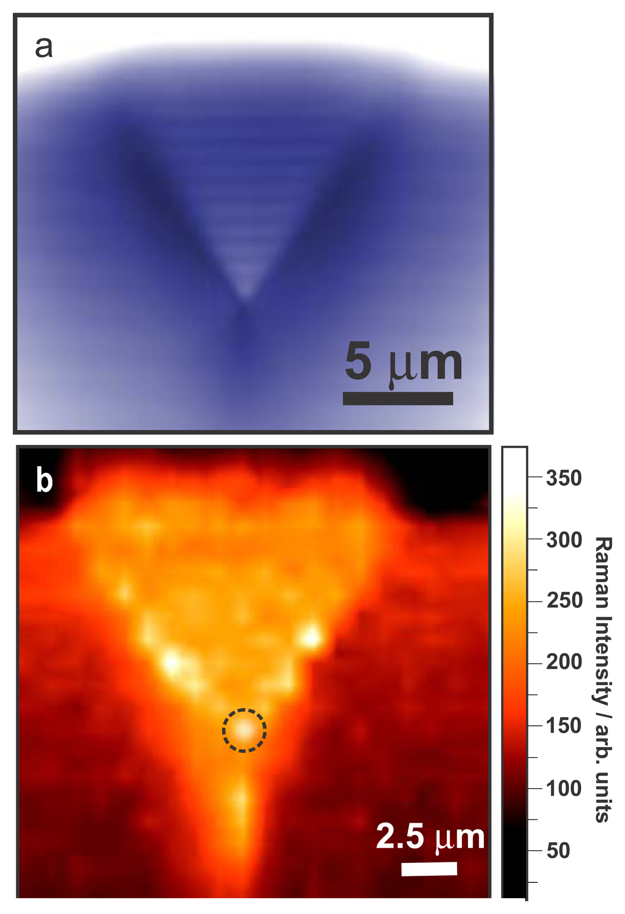 Sensors 13 12744f3a 1024