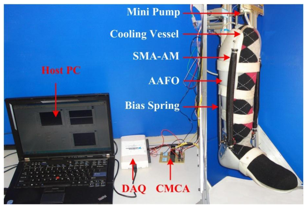Sensors 13 12958f12 1024