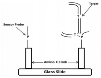 Sensors 13 12975f1 200