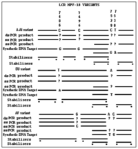 Sensors 13 12975f3 200