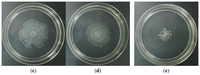 Sensors 13 14558f6b 200