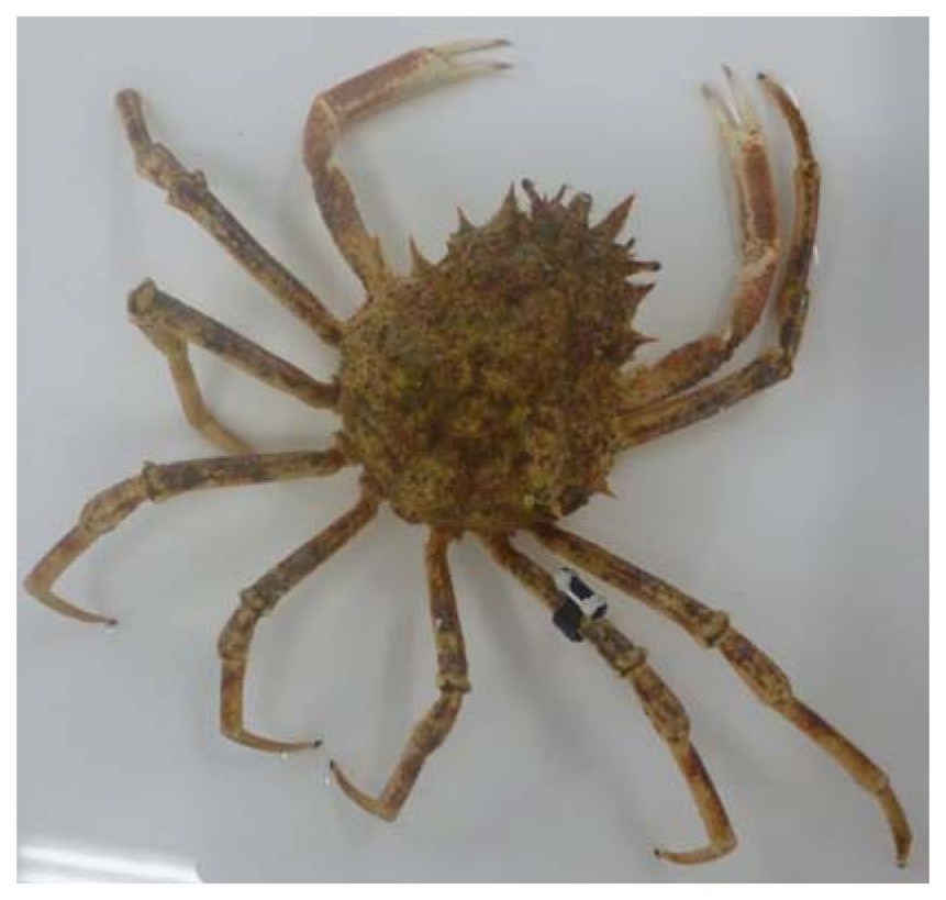 Sensors 13 15682f5 1024