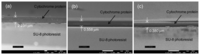 Sensors 13 15833f5 200