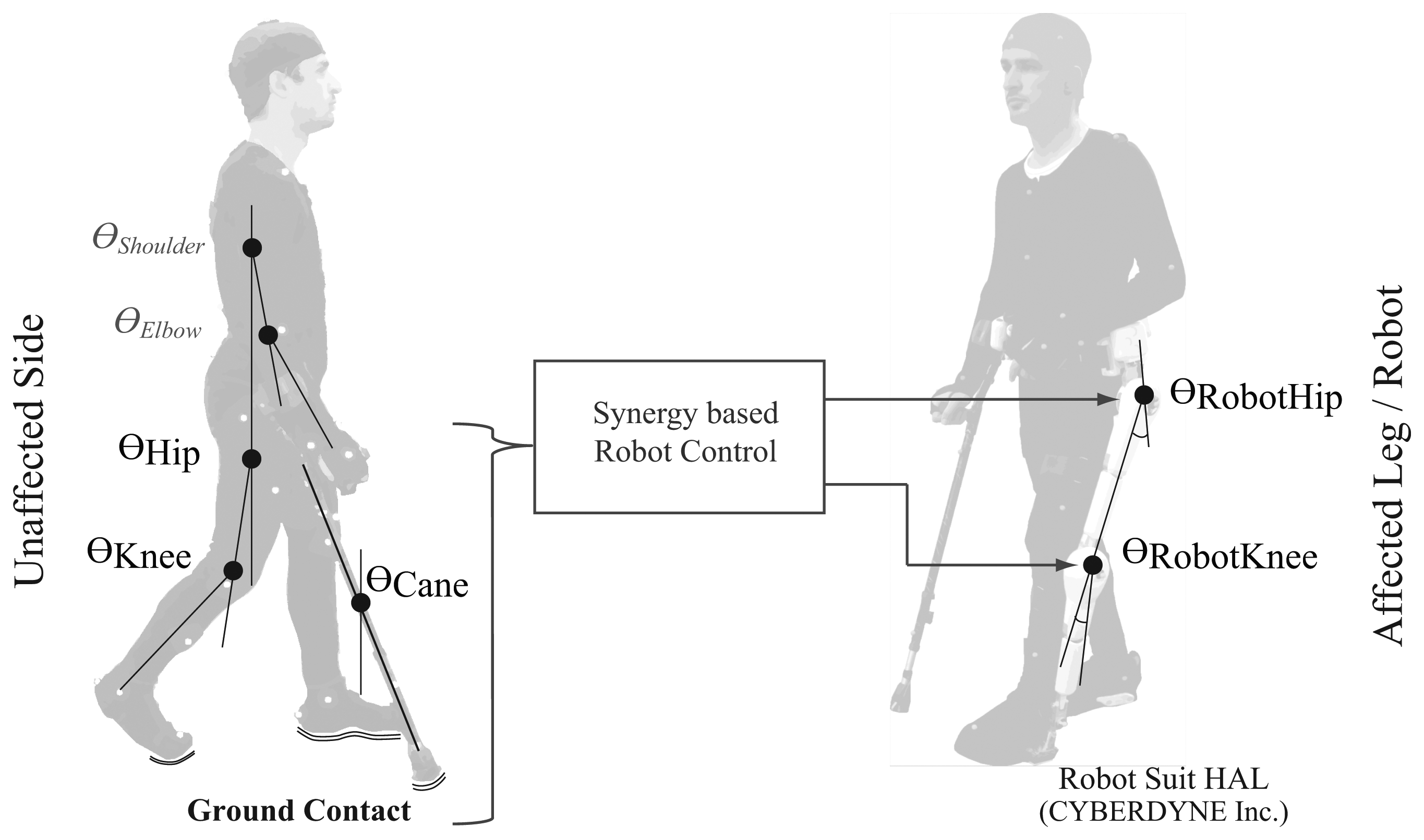 Sensors Free FullText Wearable Gait Measurement System with an
