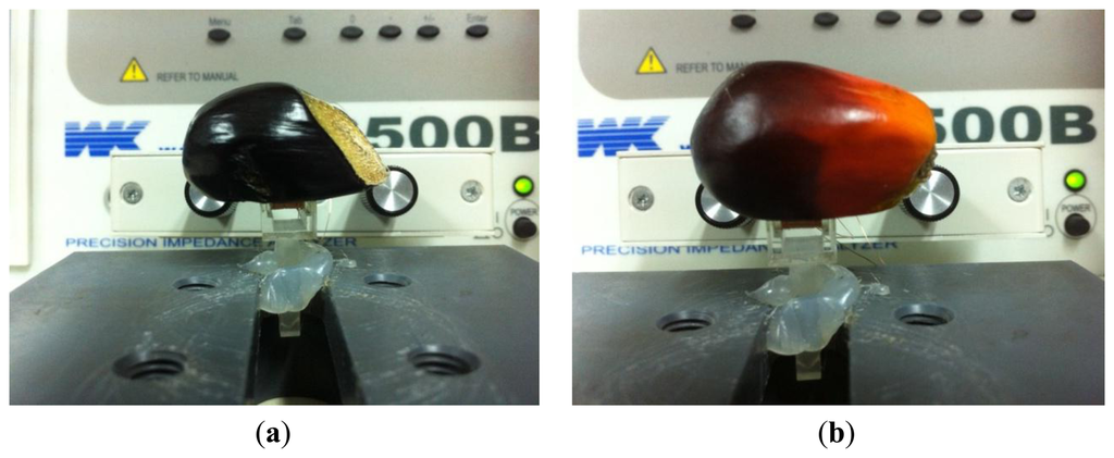 Sensors 14 02431f5 1024