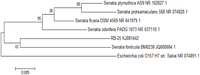 Sensors 14 05136f4 200