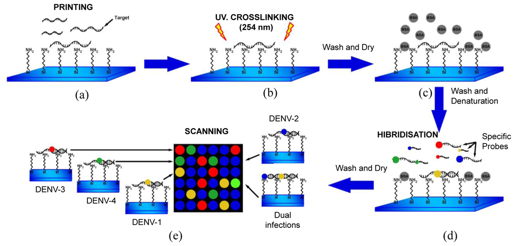 download cognitive science and