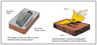 Sensors 14 08217f1 200