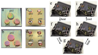 Sensors 14 08984f4 200