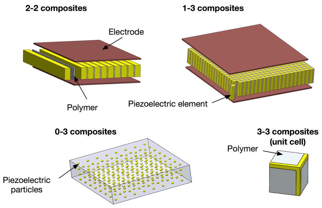 download Morphology and Its Demarcations: