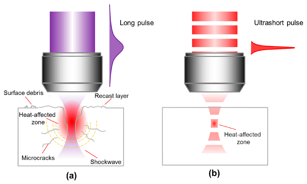 download synaptic plasticity in pain