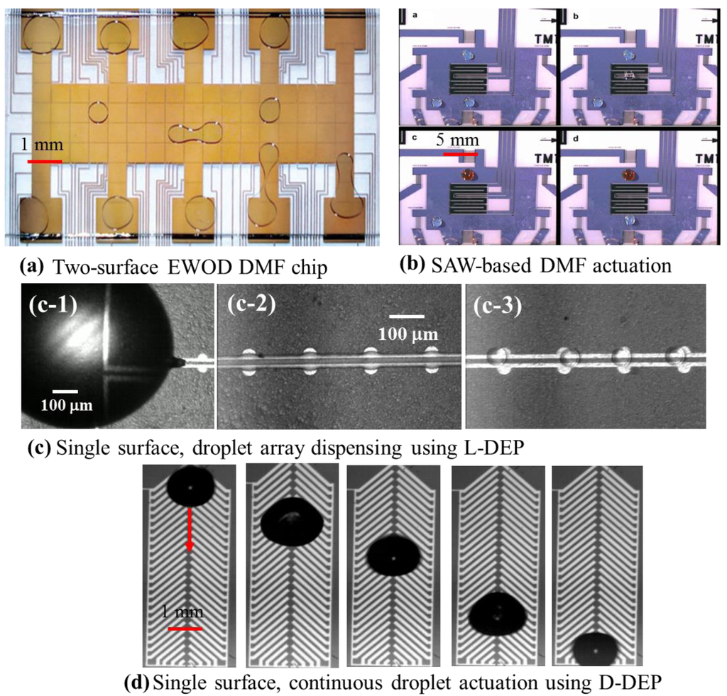 an efficient radiosynthesis of 18f fluoromisonidazole Fluorine-18 radiochemistry, labeling strategies and synthetic routes orit jacobson one-pot two-step radiosynthesis of a new 18f-labeled thiol reactive prosthetic group and its conjugate for insulinoma imaging detection of hypoxia with 18f-fluoromisonidazole (18f-fmiso. an efficient radiosynthesis of 18f fluoromisonidazole Fluorine-18 radiochemistry, labeling strategies and synthetic routes orit jacobson one-pot two-step radiosynthesis of a new 18f-labeled thiol reactive prosthetic group and its conjugate for insulinoma imaging detection of hypoxia with 18f-fluoromisonidazole (18f-fmiso.