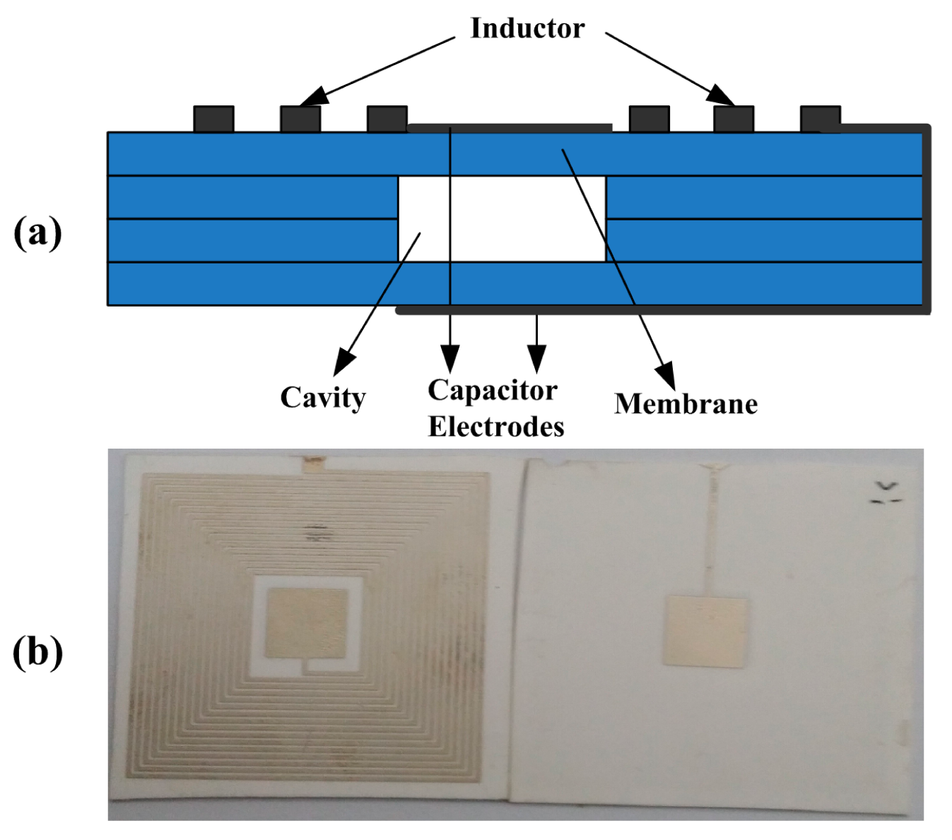 Sensors 15 02548f7 1024