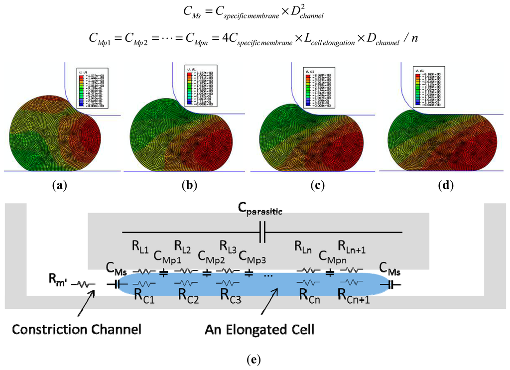 Single-cell-based models in biology and medicine Alexander Anderson, H. Lee Moffitt Cancer Center and Research Institute -