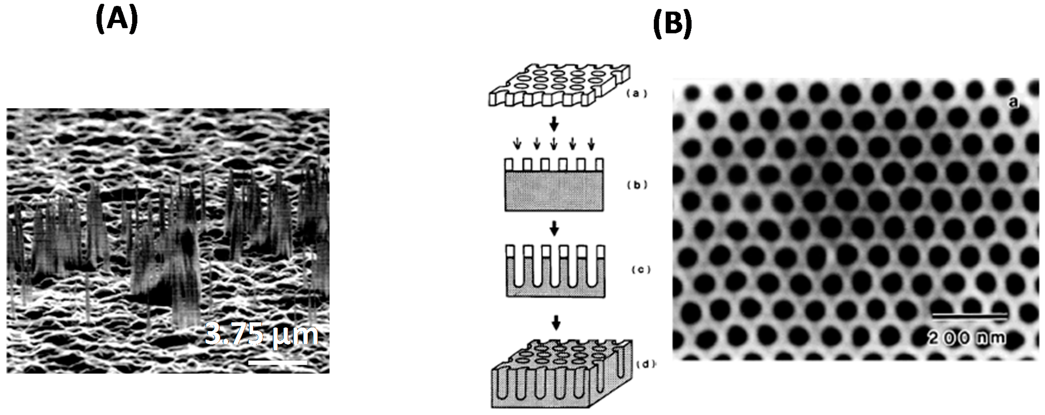 Sensors 15 12573 g003