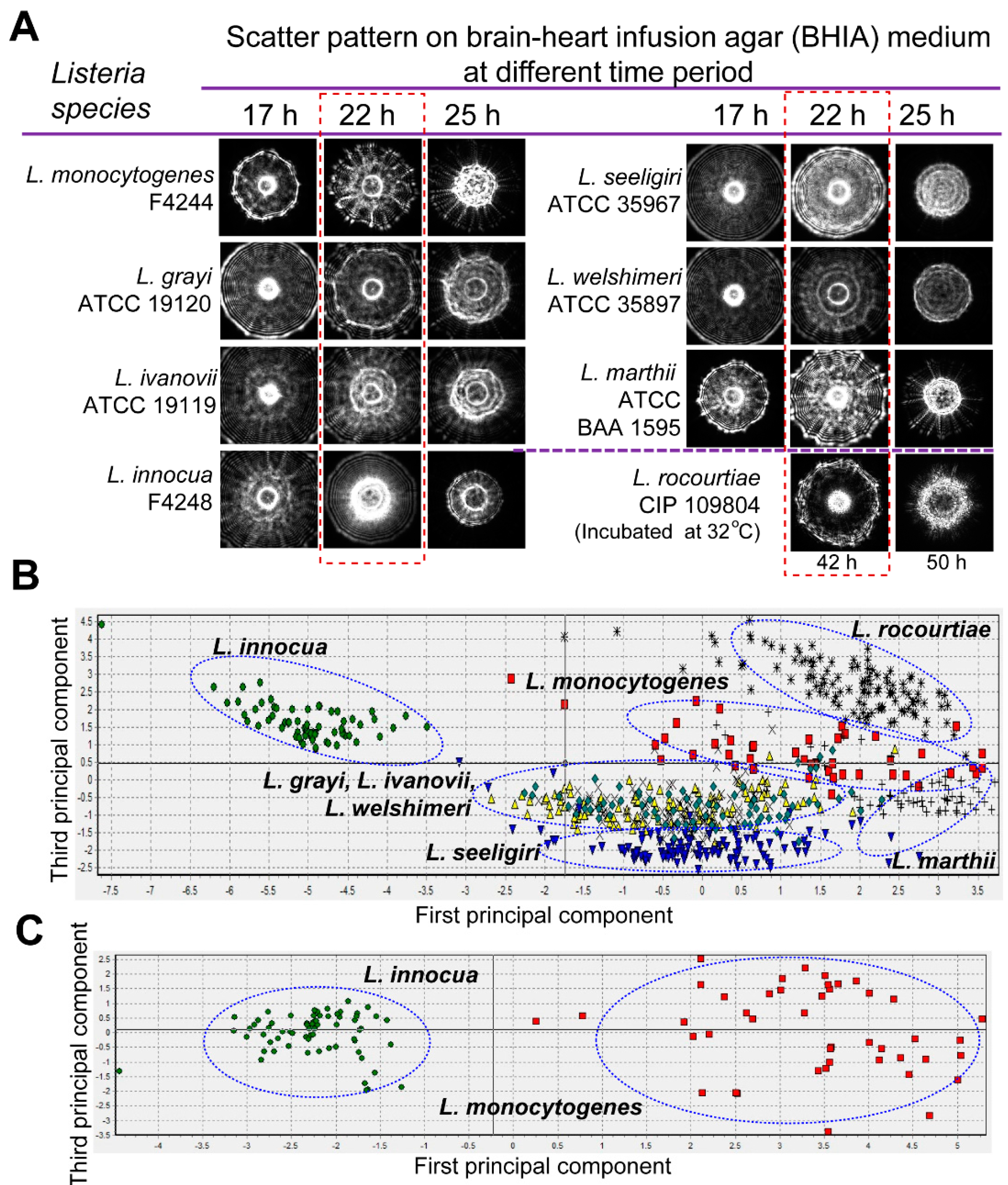 Sensors 15 22672 g004