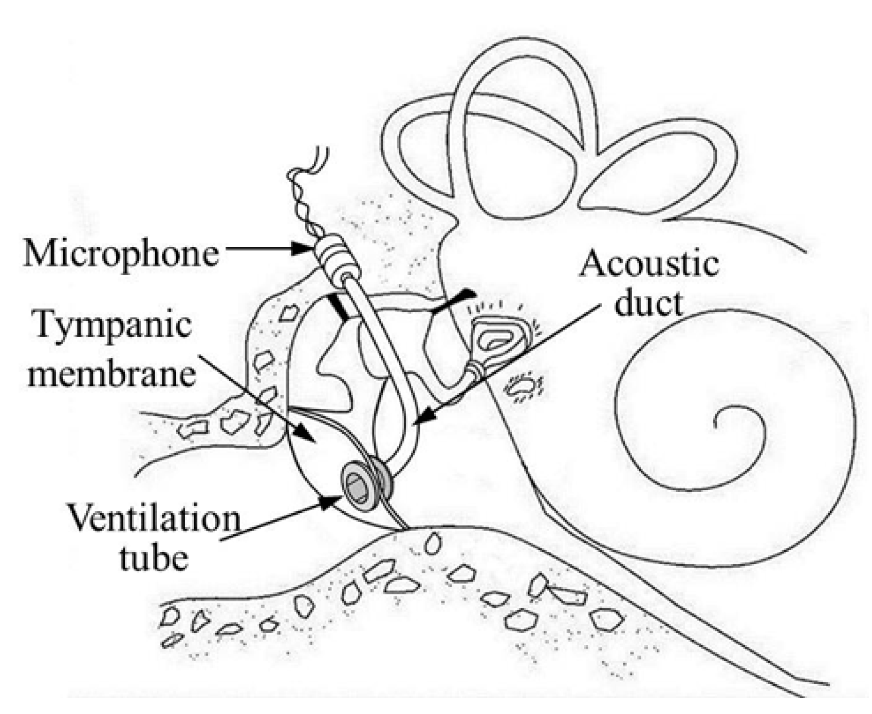 Sensors 15 22798 g002