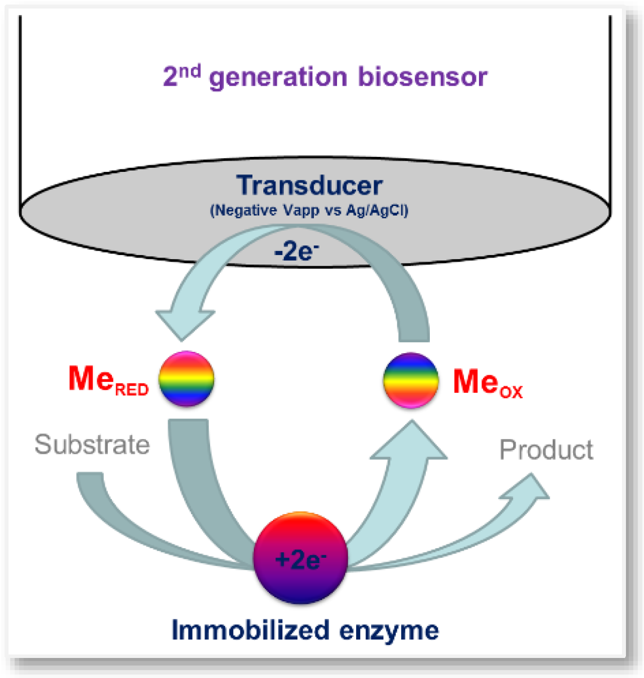Sensors Free FullText Enzyme Biosensors for Biomedical Applications Strategies for