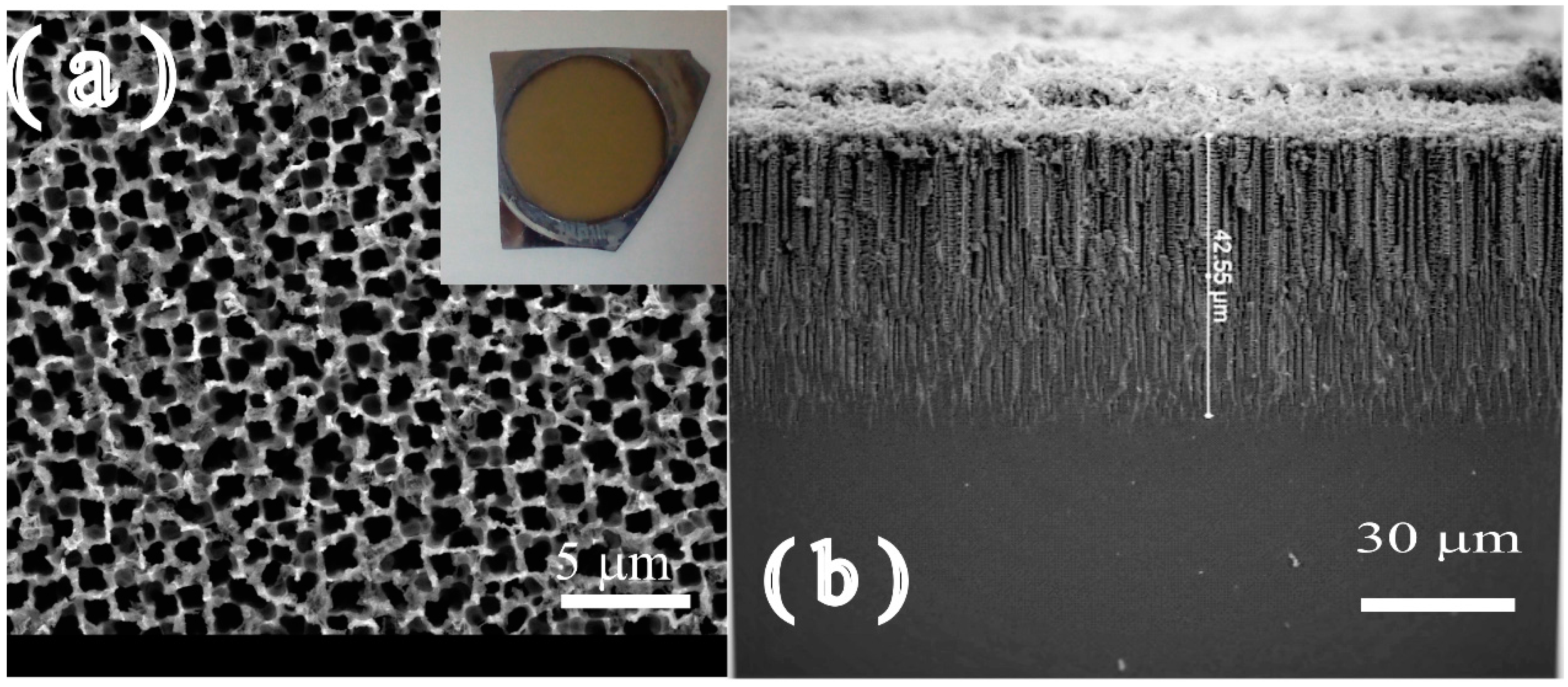 Sensors 16 00839 g004