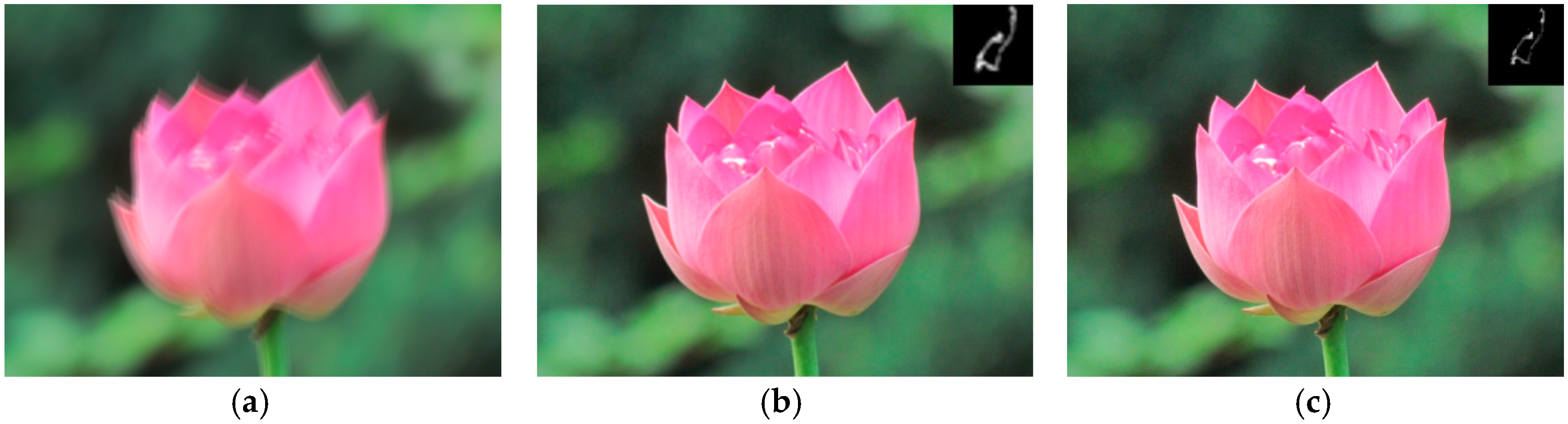 Sensors Free FullText Robust Image Restoration for Motion Blur of