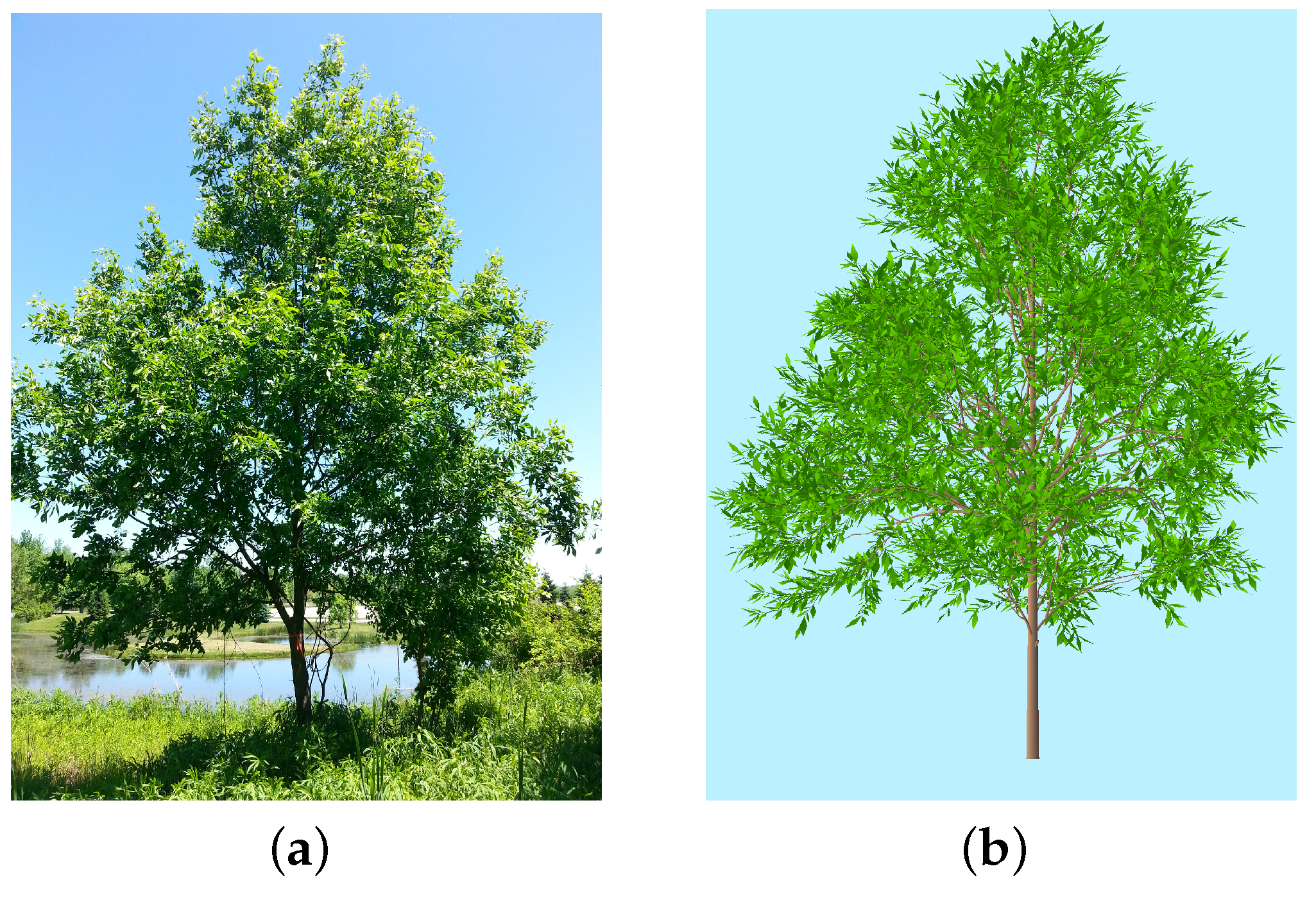 Sensors 16 01092 g002