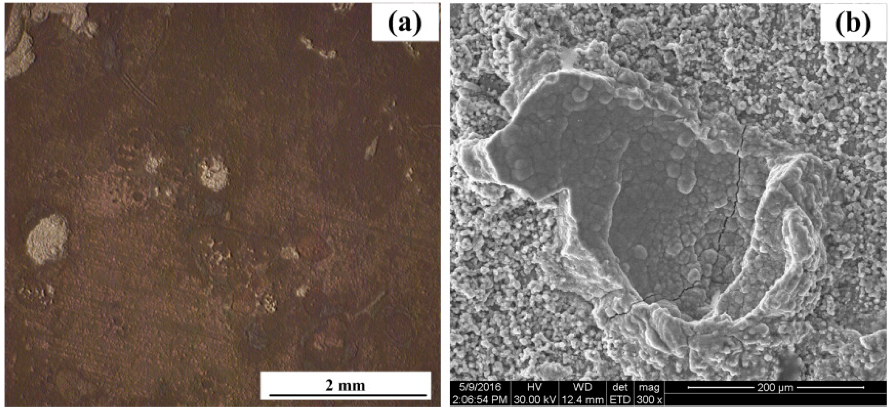 Sensors 16 01451 g015