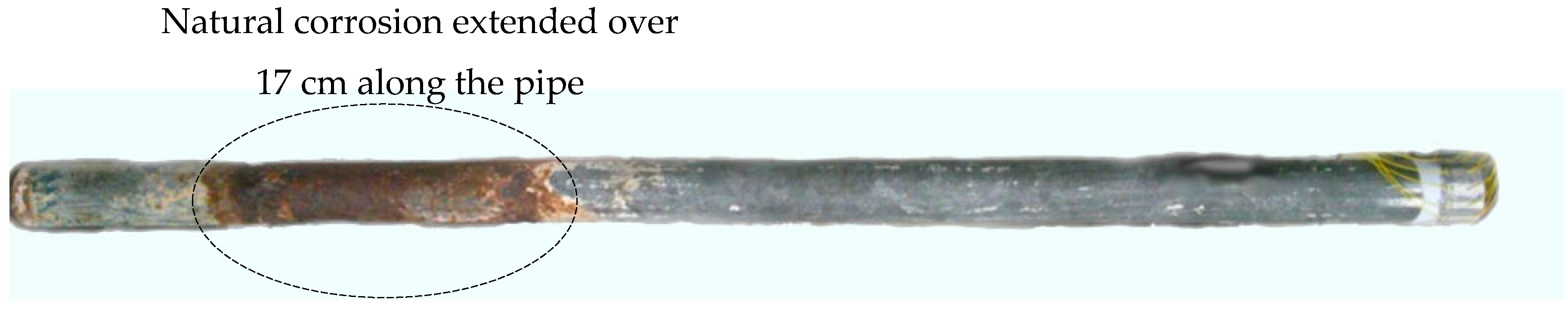 Sensors 17 00302 g002