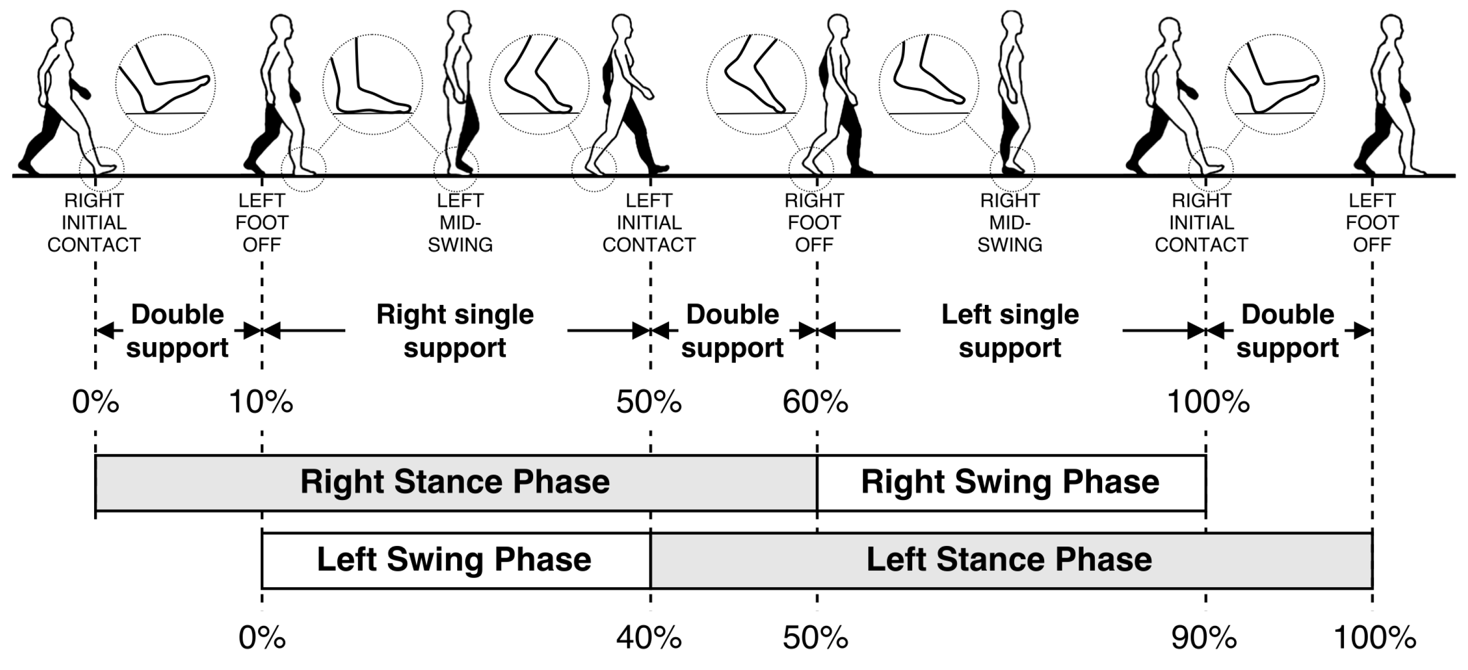 Lab report analysis