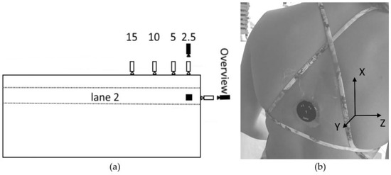 Experimentalphysik: Mechanik und