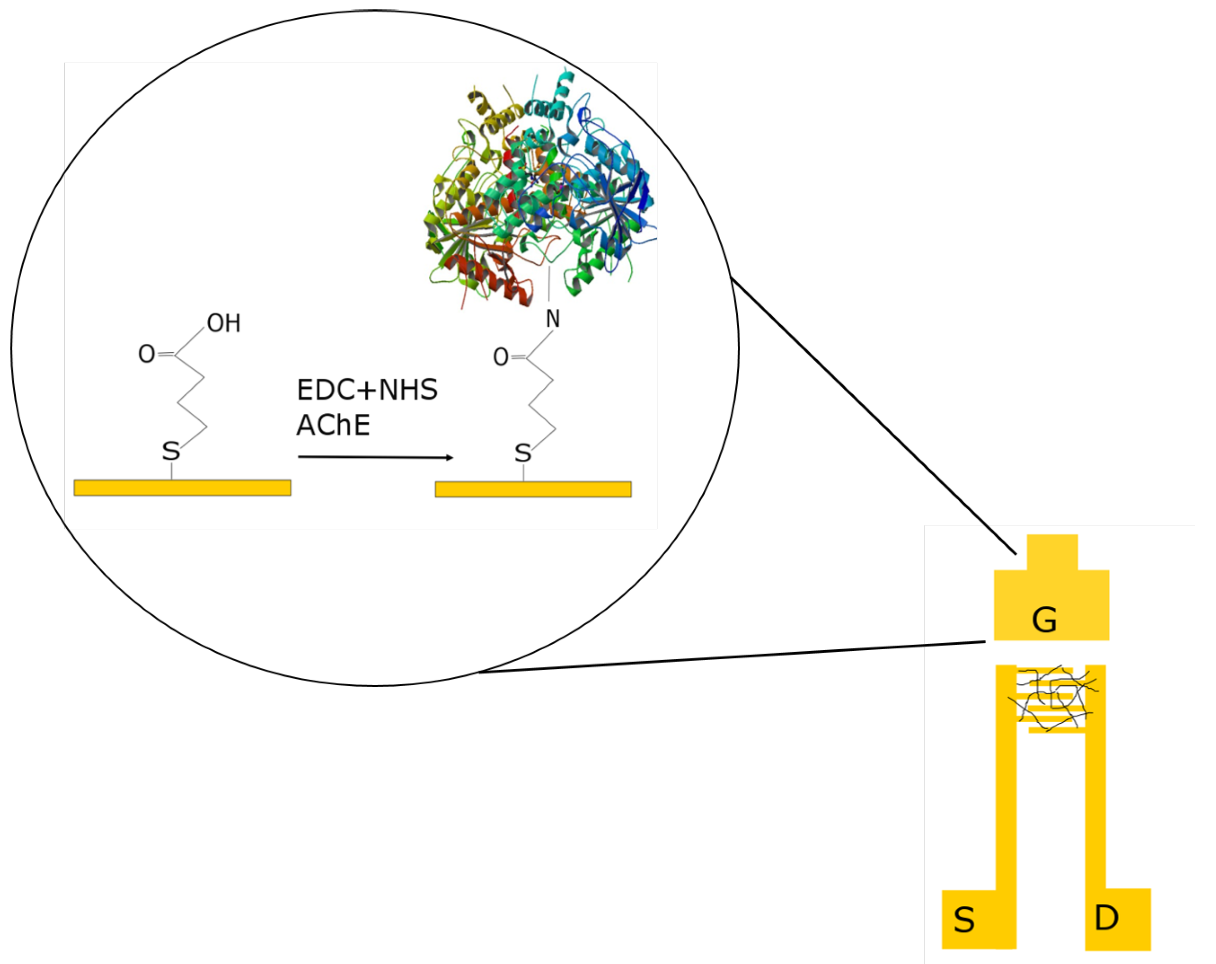 Sensors 17 01147 g002