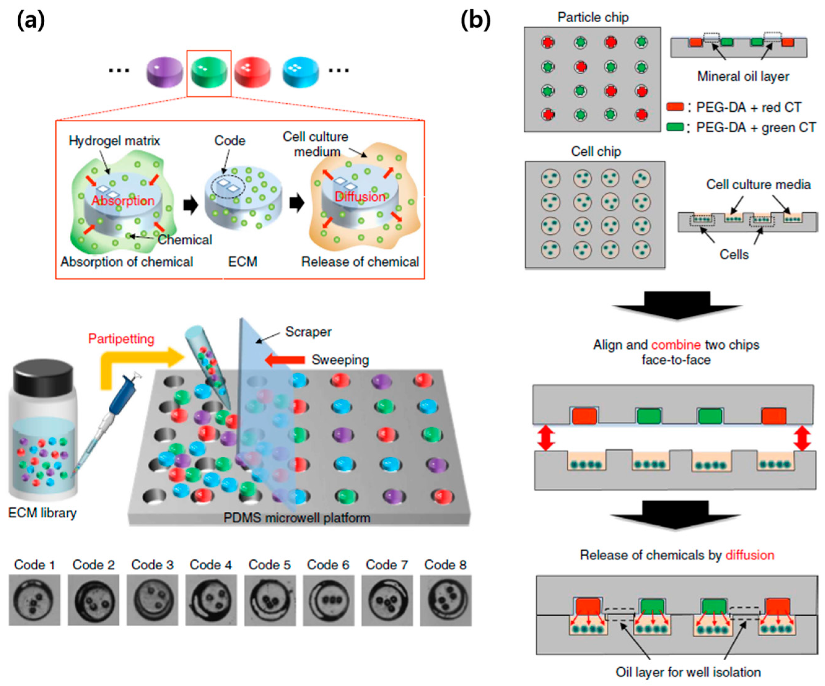 book computer graphics from pixels to programmable