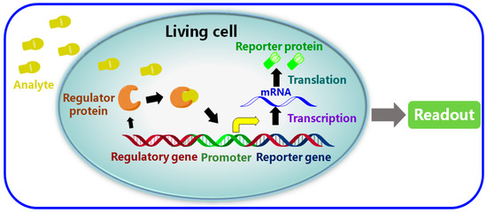 ebook tcpip essentials a lab based approach