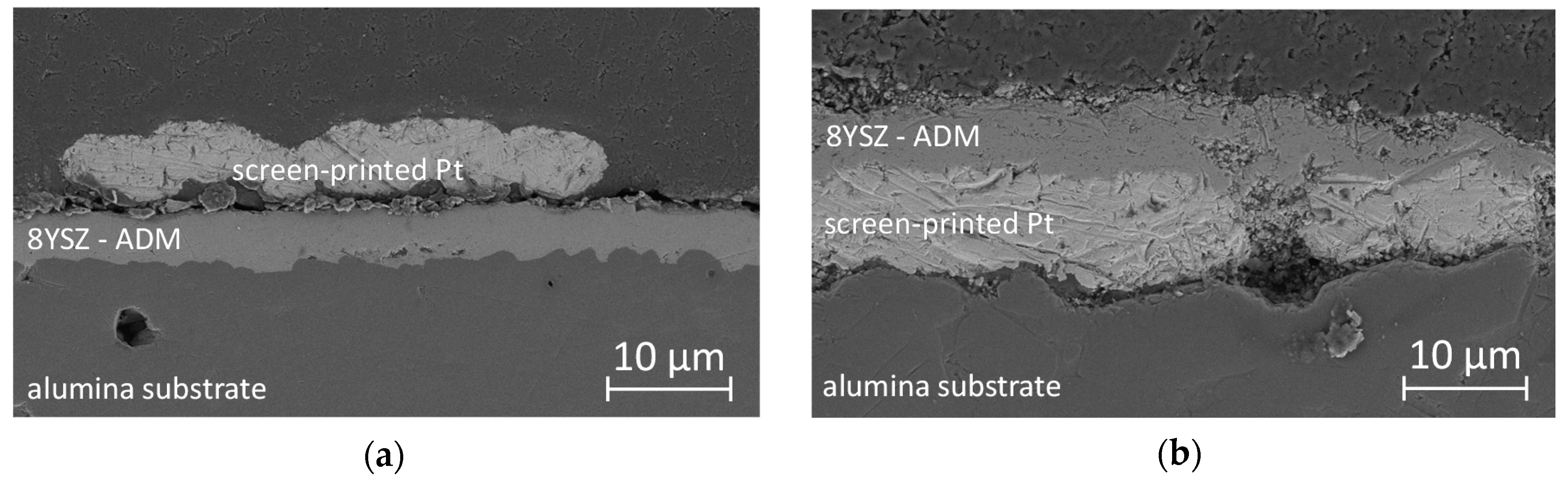 Sensors 17 01715 g002 Sensors 17 01715 g002