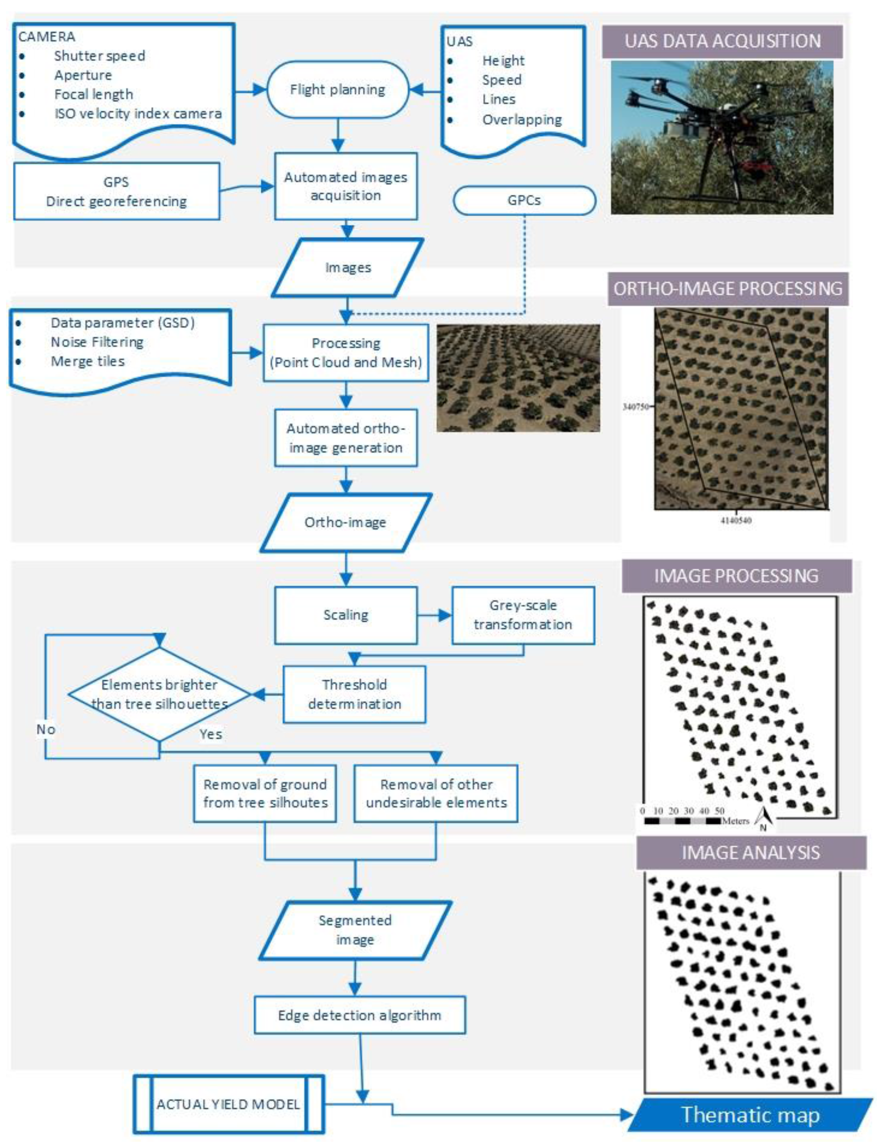 Olive tree trading analysis system