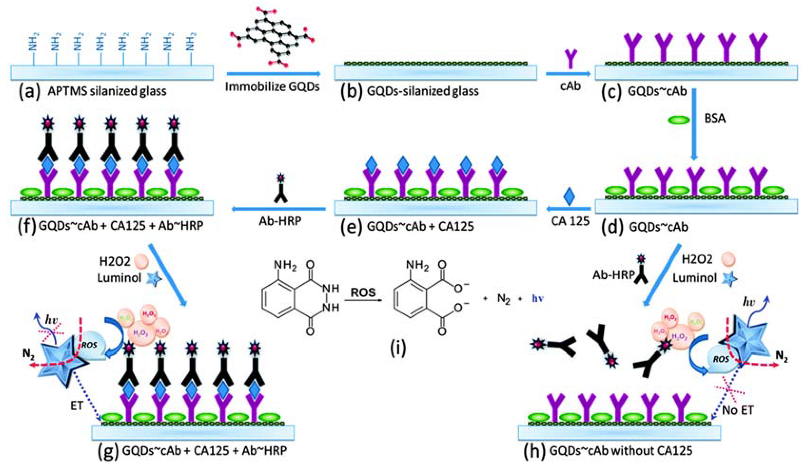 sediments diagenesis and