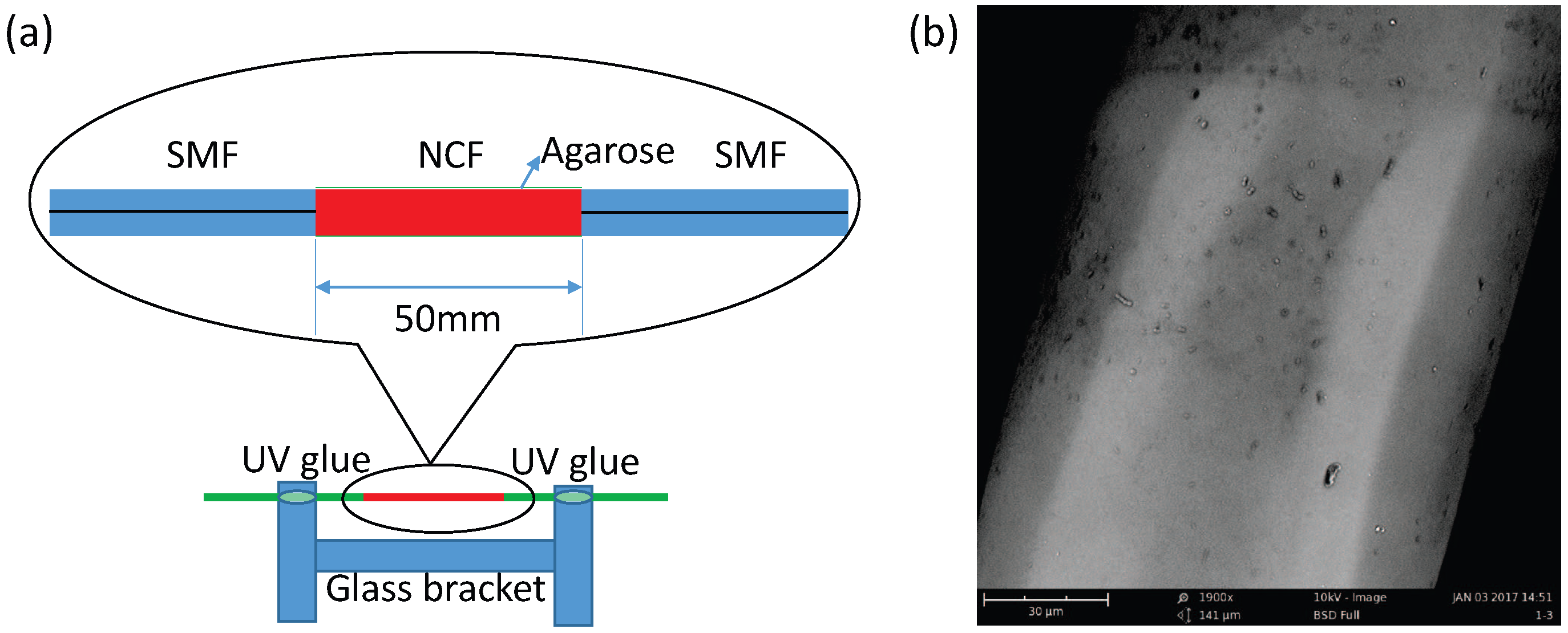 Sensors 17 02353 g001