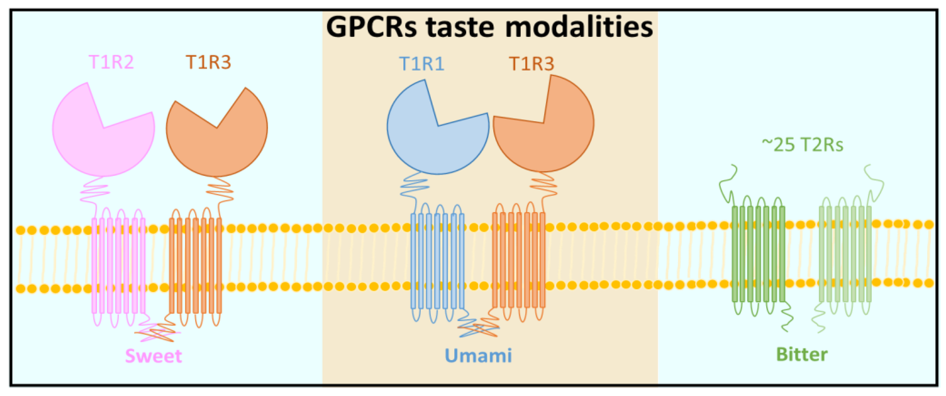 Sensors 17 02881 g002