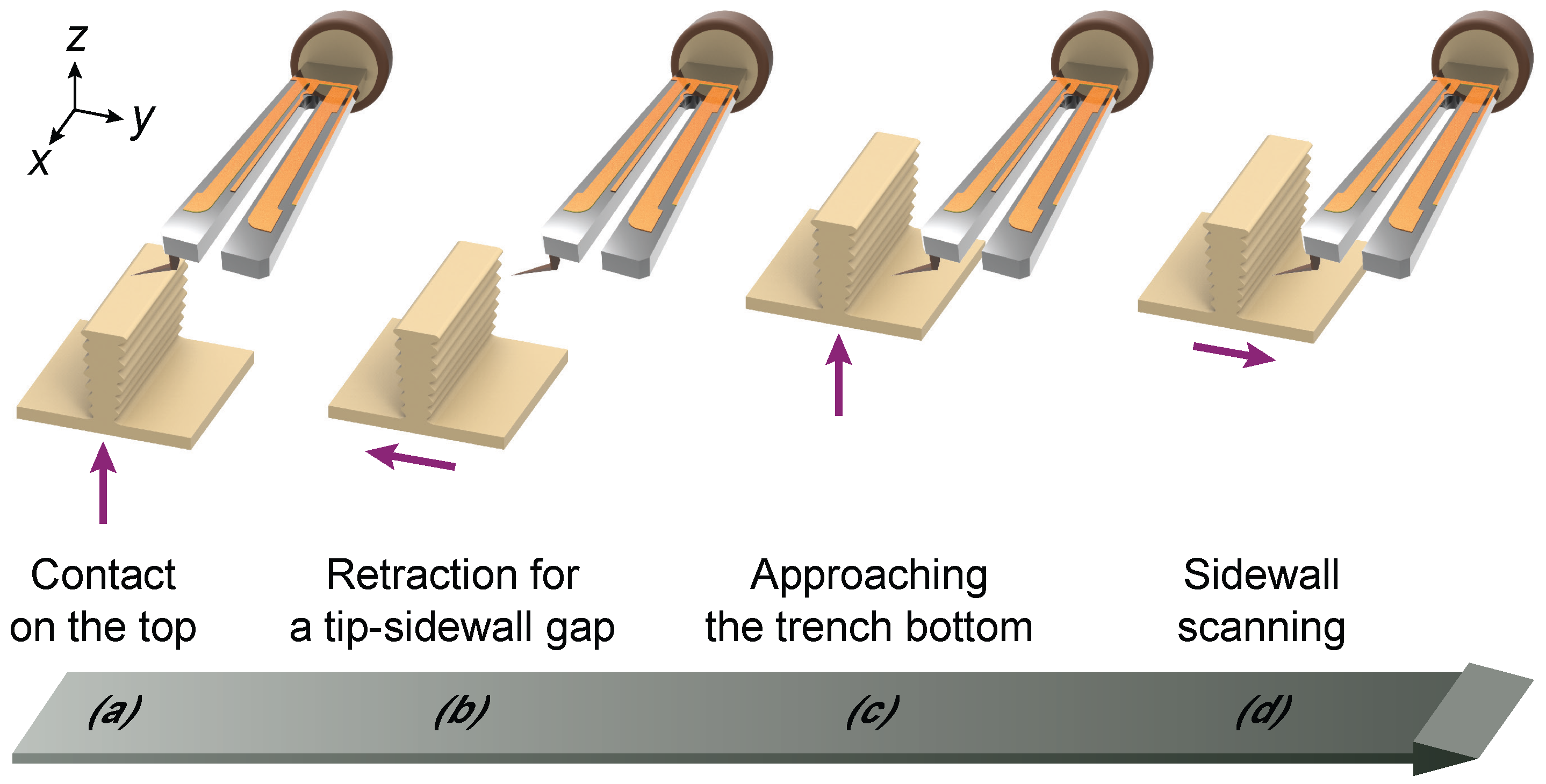 Sensors Free FullText Atomic Force Microscopy Sidewall Imaging