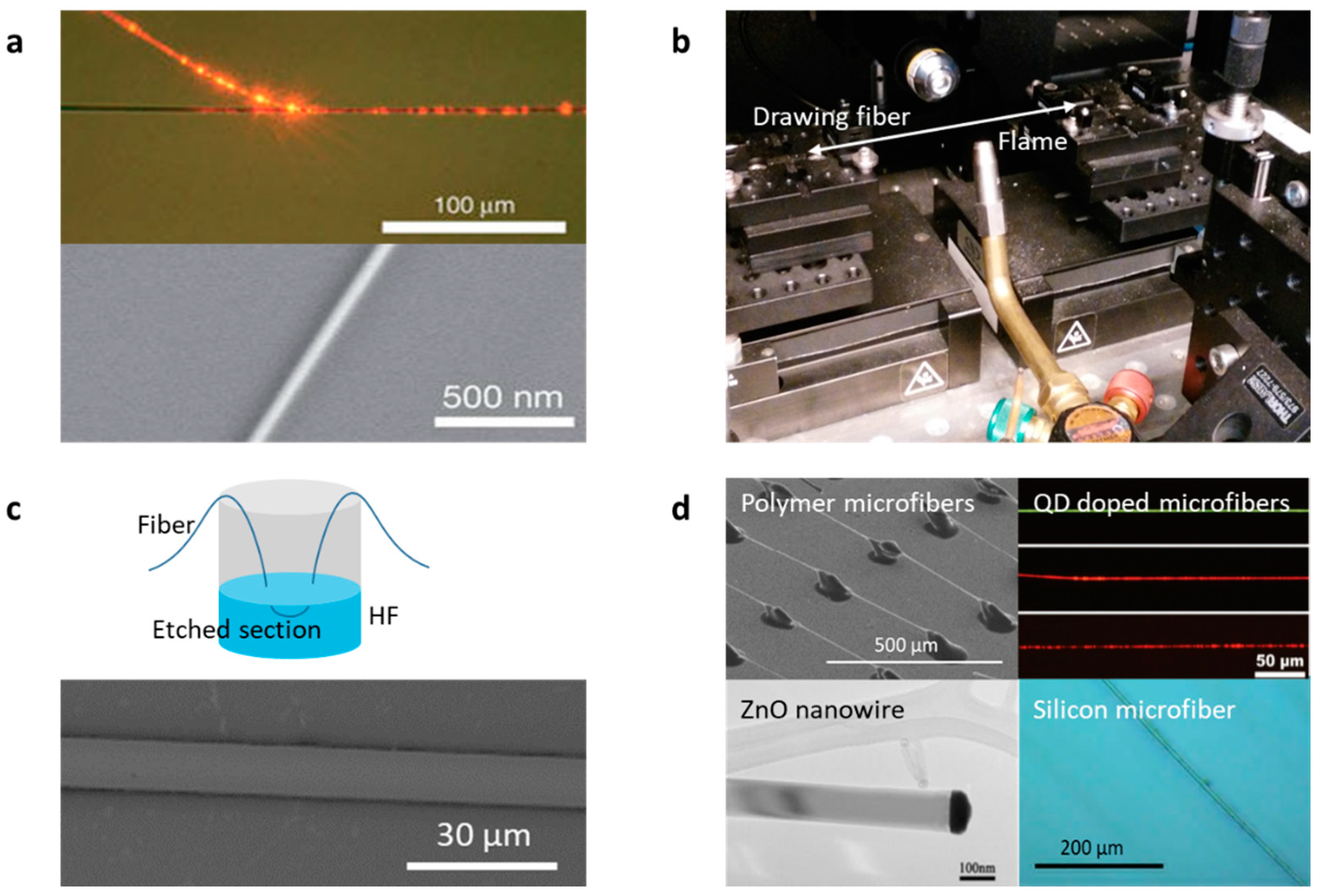 Sensors Free FullText Optical Graphene Gas Sensors Based on